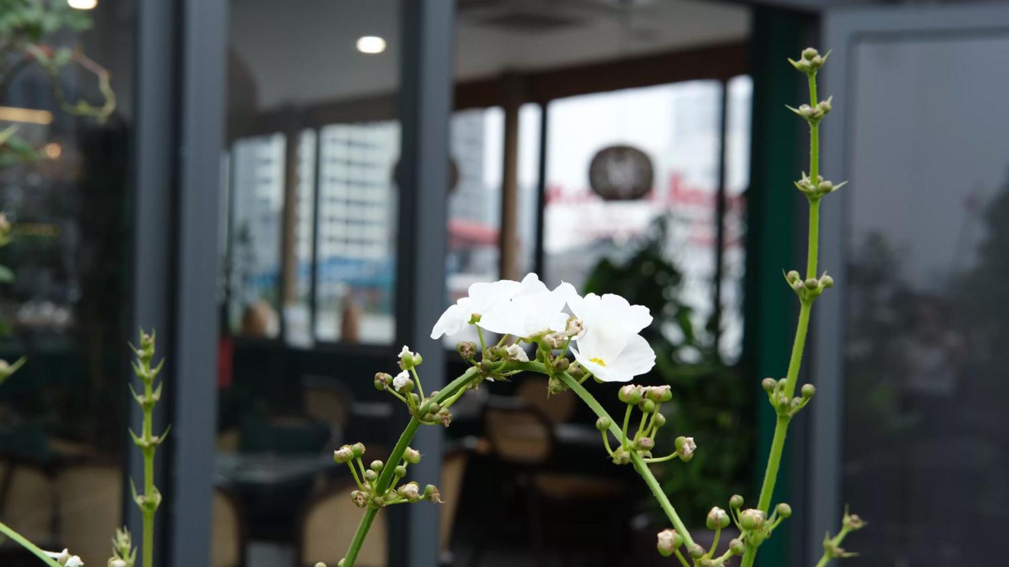 The Bloom Classic - Hotel And Bistro Hanoi Dış mekan fotoğraf